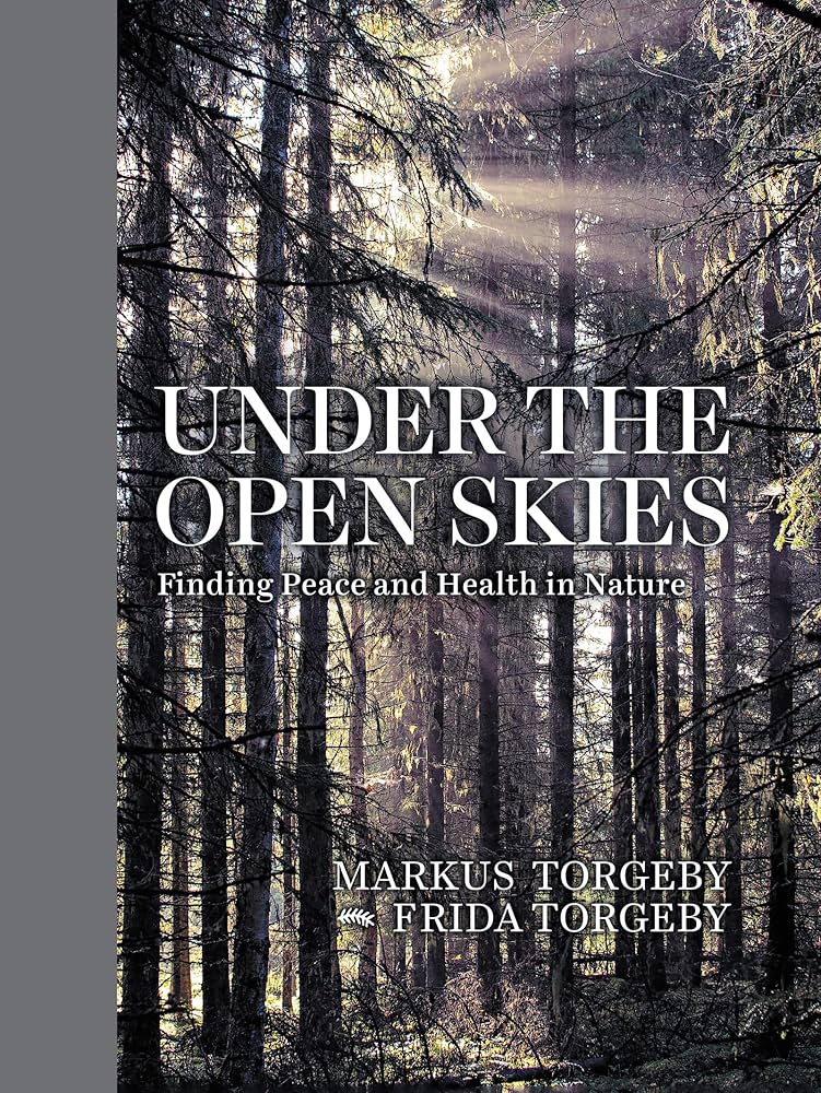 Under the Open Skies book cover