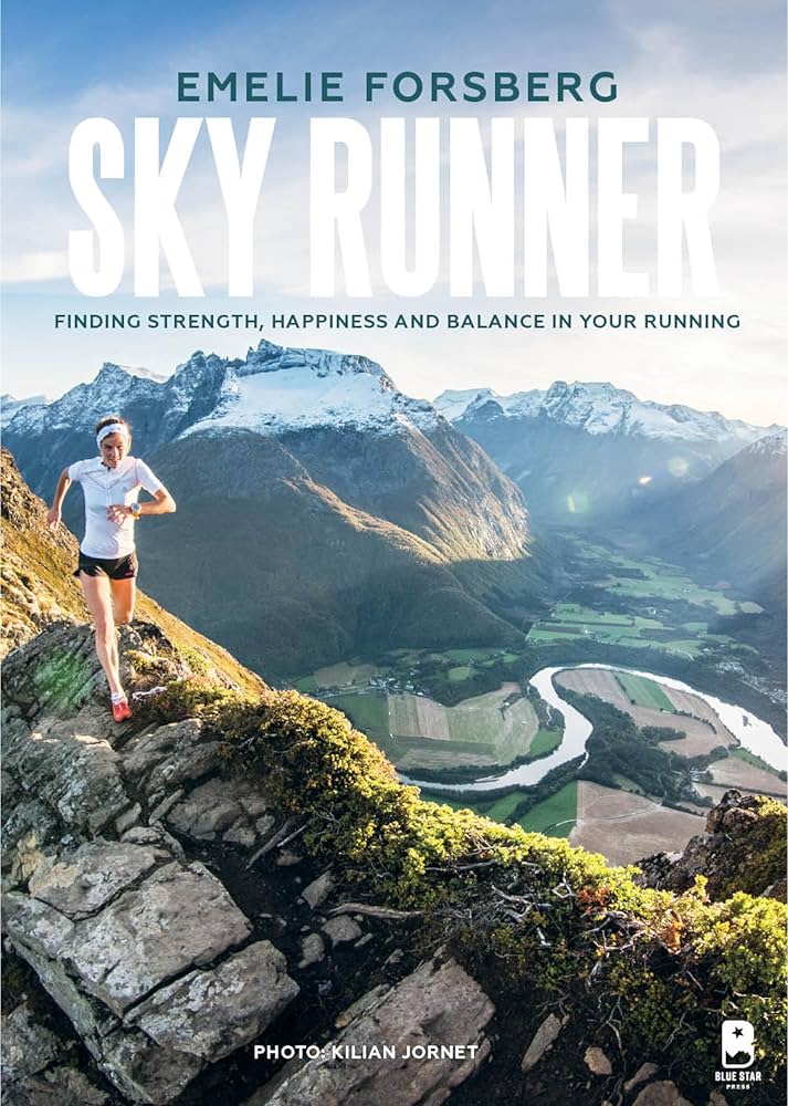 Sky Runner book cover