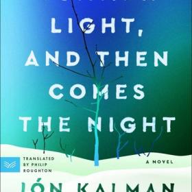 Book cover with title and graphic of small bare trees in the snow with a blue and green sky.