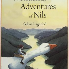 The Wonderful Adventures of Nils book cover