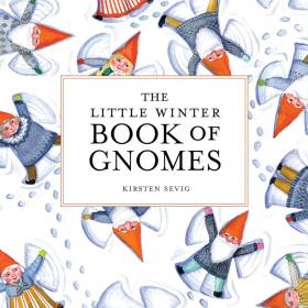 The Little Winter Book of Gnomes book cover