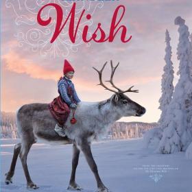 The Reindeer Wish book cover