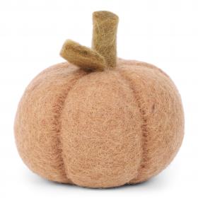 Dusty Light Orange Pumpkin