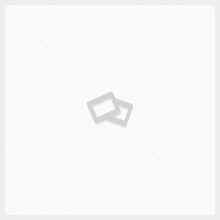 placeholder placeholder